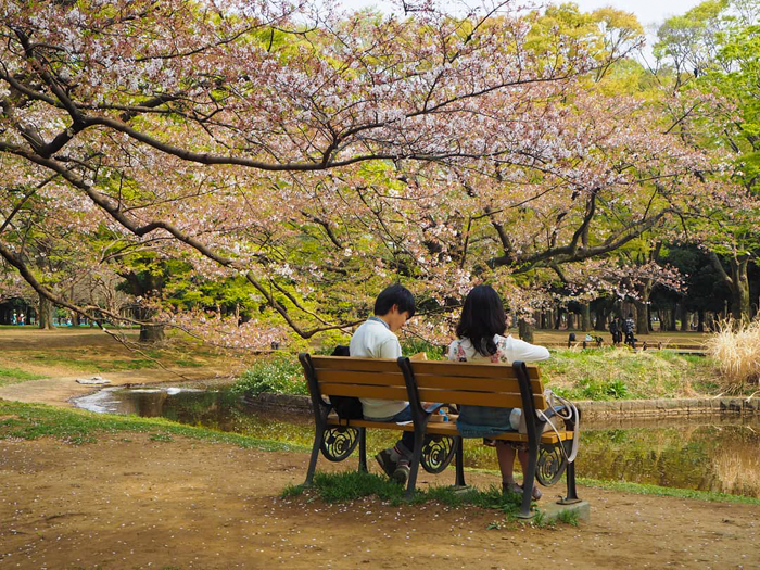 Mùa Xuân là dịp hiếm hoi để người Nhật nghỉ ngơi
