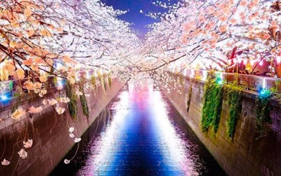Nhật Bản nên đi du lịch mùa nào? Đi mùa nào chơi được nhiều nhất
