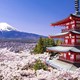 Đi du lịch Nhật Bản có cần visa không? Xin visa Nhật Bản thế nào?