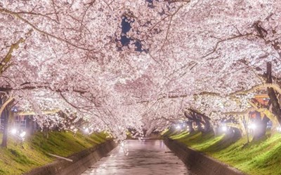 Những thắng cảnh nổi tiếng nhất không thể bỏ lỡ khi du lịch Aichi Nhật Bản
