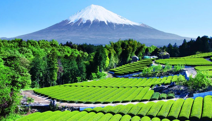 Núi Phúi Sĩ là danh lam thắng cảnh nổi tiếng nhất tại Nhật Bản