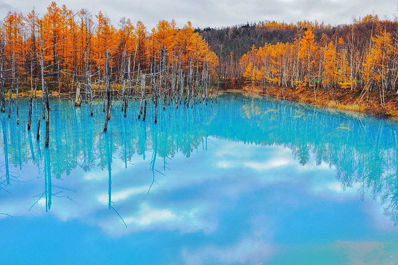Blue Pond - Hồ nước màu xanh ngọc bích như được tỏa sáng thêm nhờ sắc vàng của những hàng cây đổi màu