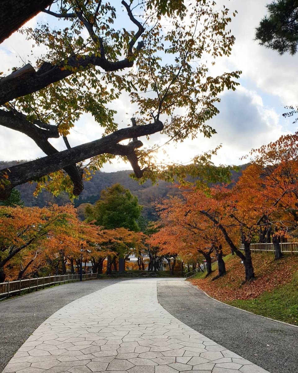 Cảnh sắc mùa thu ở Hakodate Park