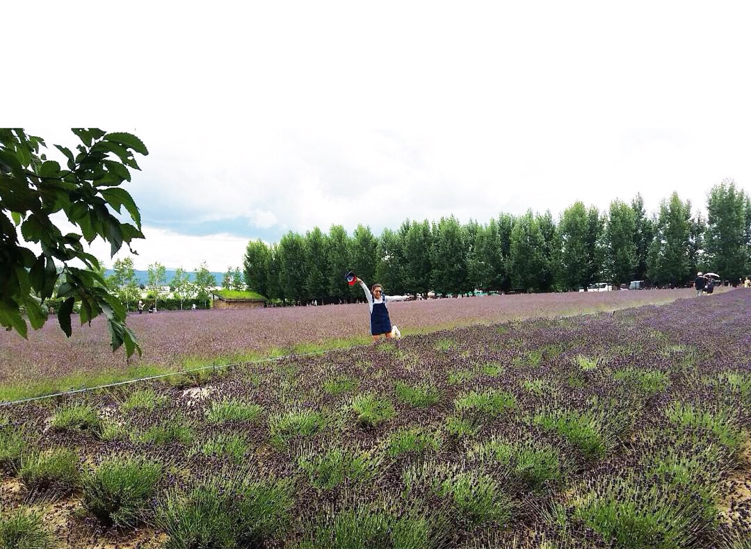 Hokkaido tháng 7 đón bạn bằng nền nhiệt trung bình khoảng 17 độ và những ruộng hoa oải hương xinh đẹp