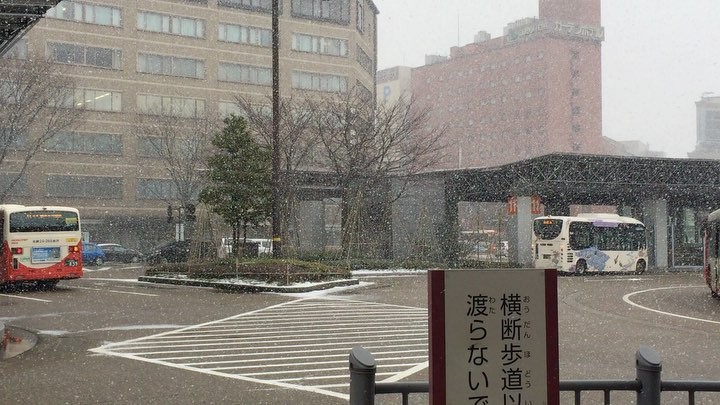 Tháng 1 ở Tokyo trời cũng rất lạnh, thường xuyên có tuyết rơi