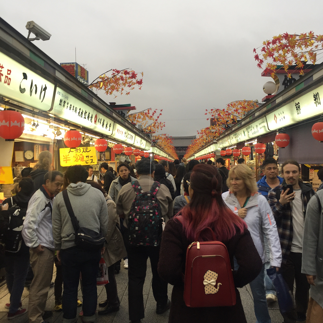 Các hoạt động tham quan, ngắm lá vàng lá đỏ diển ra sôi động ở Tokyo vào tháng 10 hàng năm